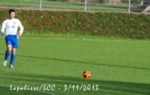 5278c07f0514f_SCC2013110304.jpg