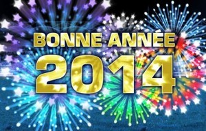 52c5c62c05dc7_bonneannee2014392x222.jpg