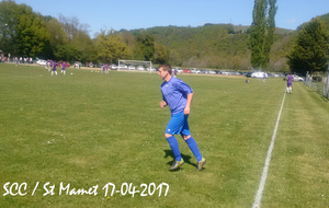 58f67607dcf15_SCCStMamet1.jpg