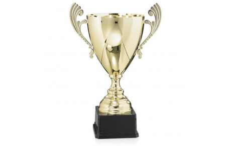 FINALE DE LA COUPE DU CANTAL